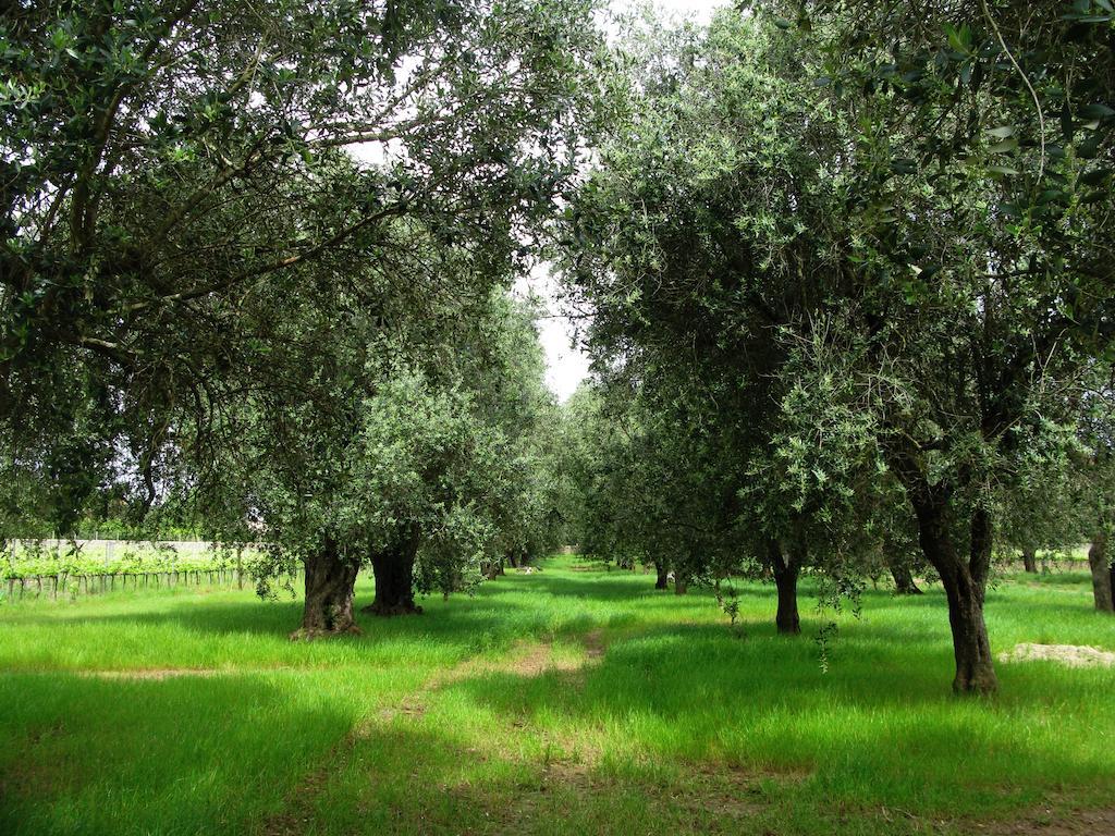 Masseria San Polo Squinzano Exterior foto